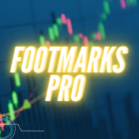 Footmarks Pro