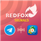 RedFox Signals Copier Telegram to MT4