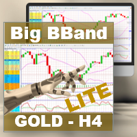 Big BBand Gold H4 LITE