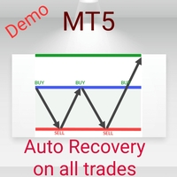 Auto Recovery Zone Demo
