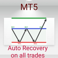 Auto Recovery Zone