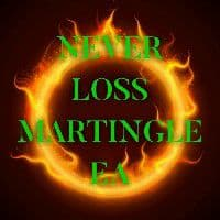 Never Loss Martingle Ea