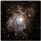 Universe EA