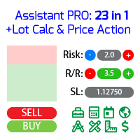 Assistant 23 in 1 PRO