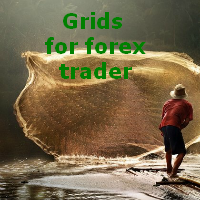 Grids for forex trader