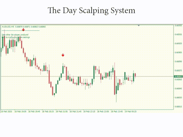 The Day Scalping System