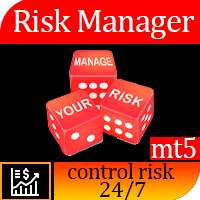 Risk Manager for MT5