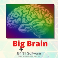 Big Brain 999