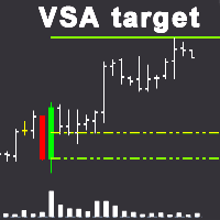 VSA target