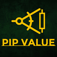 Pip Value Indicator