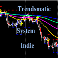 Trendsmatic System Indie