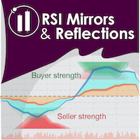 RSI Mirrors and Reflections