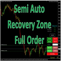 Semi Auto Recovery Zone Full Order