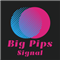 Big Pips Signal