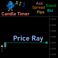 Price Ray