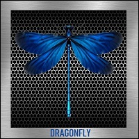 Dragonfly strategy