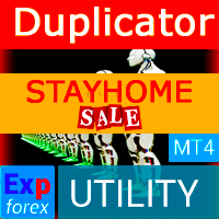 Exp4 Duplicator