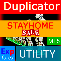 Exp5 Duplicator