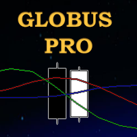 Globus Pro