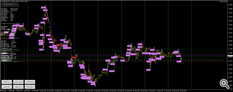 FortuneHedge1