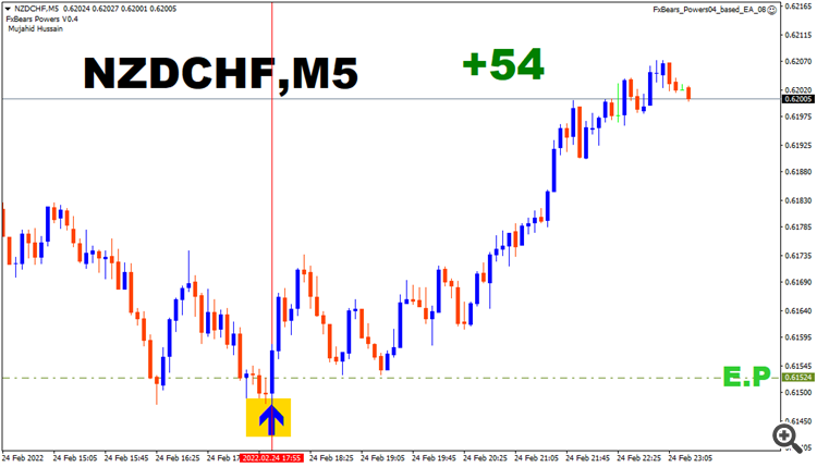 nzdchf