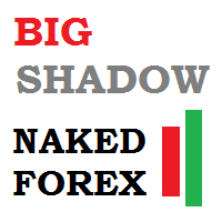 Naked Forex Big Shadow indicator for MT4