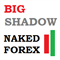 Naked Forex Big Shadow indicator for MT5