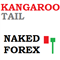 Naked Forex Kangaroo Tail indicator for MT5