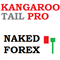 Naked Forex Kangaroo Tail Pro indicator for MT4
