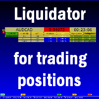 Liquidator for trading positions