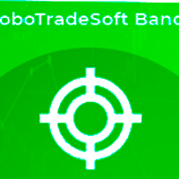 RoboTradeSoft System
