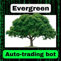 BDA Evergreen