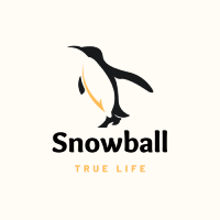EA Snowball WIN