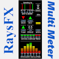 RaysFX Multi Meter