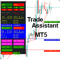 RiskNtm Pro Trade Management Tool Mt5