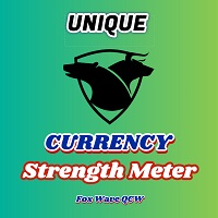 Strength and Waves Meter Fox Wave QCW