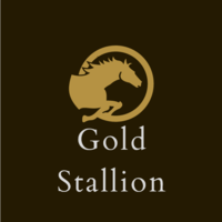 Gold Stallion