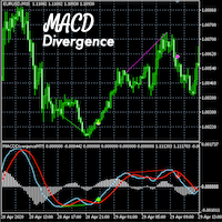 MACD Divergence Detector MT5