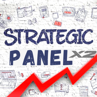 Strategic Panel X2
