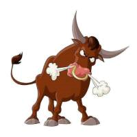 StrategyTester