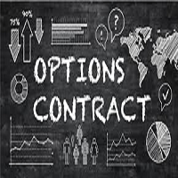 Option Hedge EA