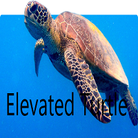 Elevated Turtle