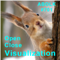 Abolk 701 Visual OpenClose