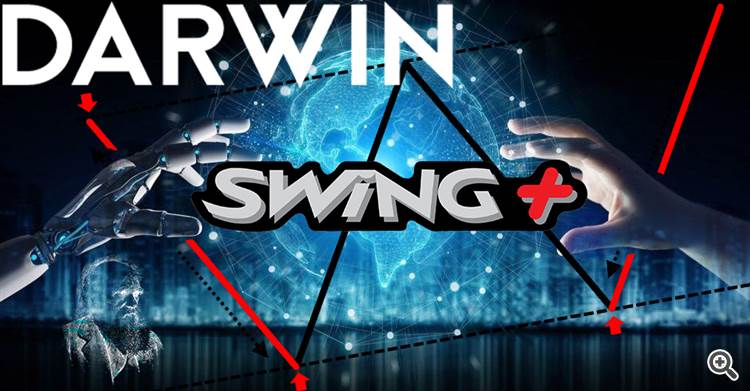 Darwin Swing