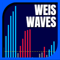 LT Weis Waves