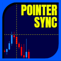 LT Pointer Sync