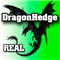 Dragon Hedge MT4