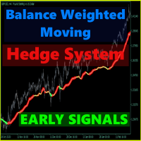 Balance Weighted Moving Hedge System