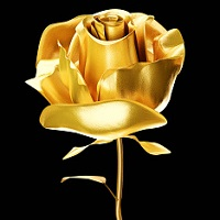 Golden Rose MT4
