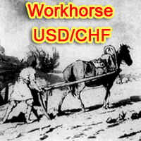 WorkhorseUSDCHF